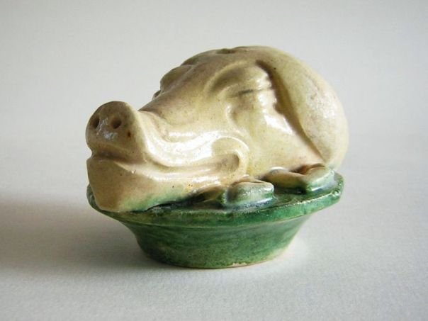 Pig’s head – (5489)